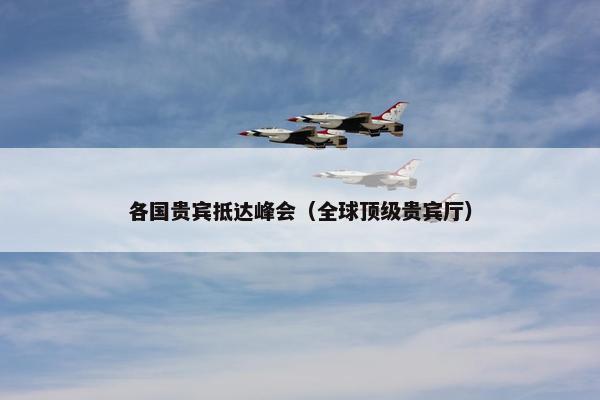 各国贵宾抵达峰会（全球顶级贵宾厅）