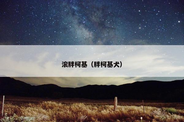 滚胖柯基（胖柯基犬）