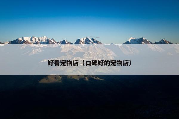 好看宠物店（口碑好的宠物店）