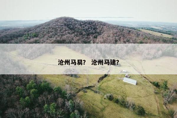 沧州马易？ 沧州马建？