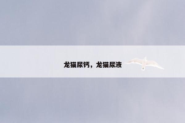 龙猫尿钙，龙猫尿液