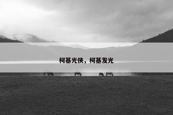 柯基光侠，柯基发光