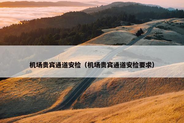 机场贵宾通道安检（机场贵宾通道安检要求）