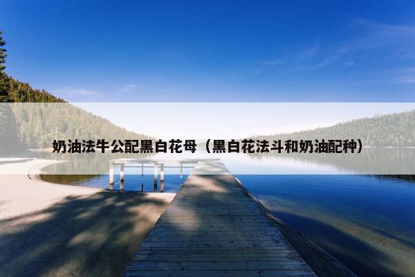 奶油法牛公配黑白花母（黑白花法斗和奶油配种）