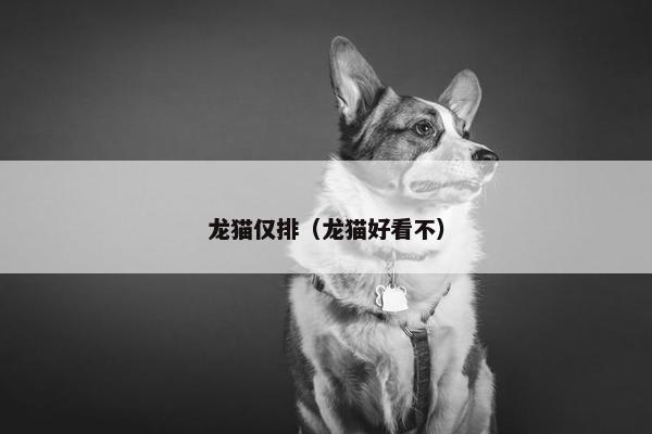 龙猫仅排（龙猫好看不）