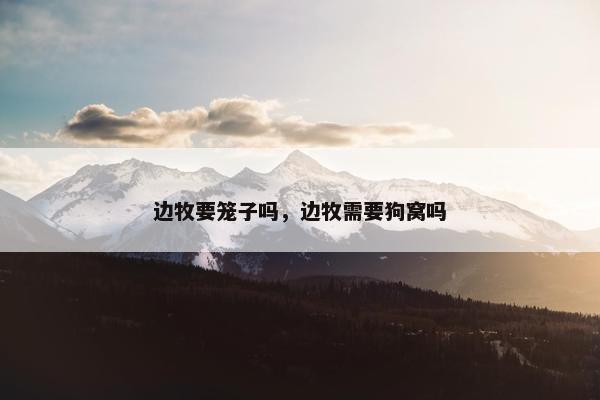 边牧要笼子吗，边牧需要狗窝吗