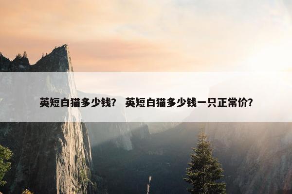英短白猫多少钱？ 英短白猫多少钱一只正常价？