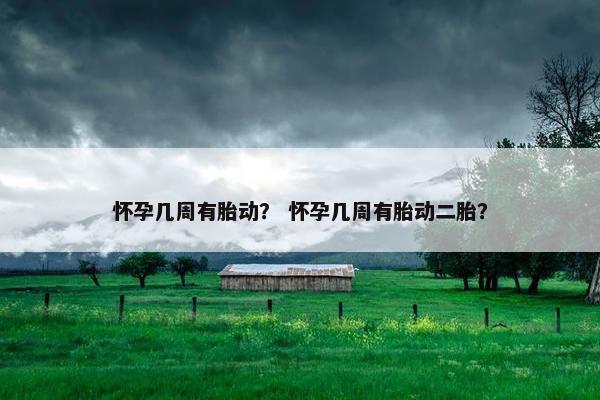 怀孕几周有胎动？ 怀孕几周有胎动二胎？