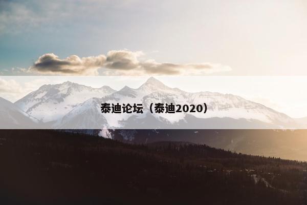 泰迪论坛（泰迪2020）