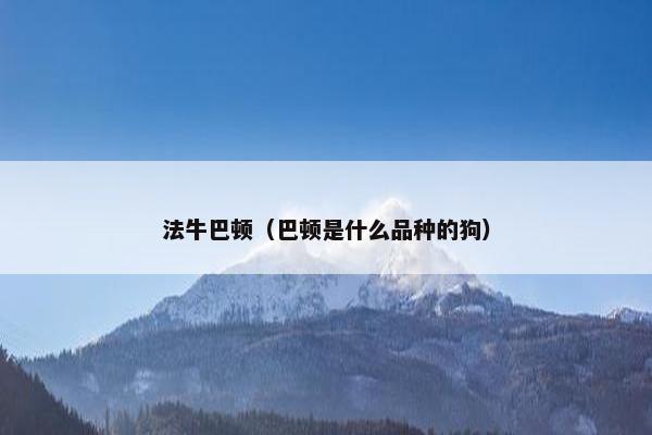 法牛巴顿（巴顿是什么品种的狗）