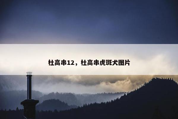 杜高串12，杜高串虎斑犬图片