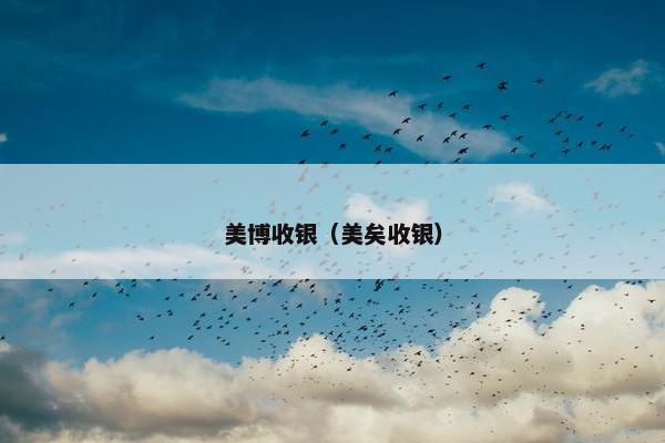 美博收银（美矣收银）