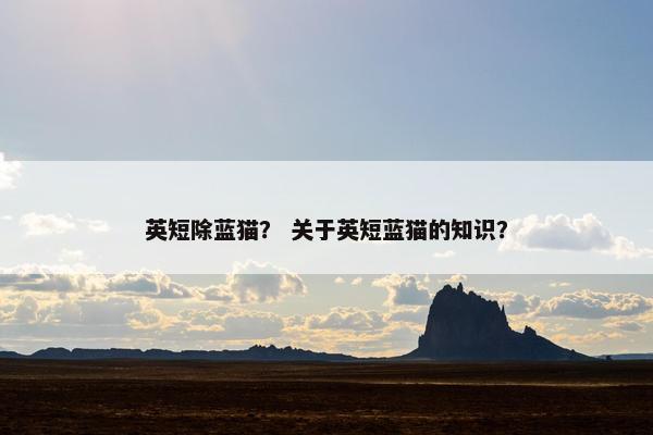 英短除蓝猫? 关于英短蓝猫的知识? 英短除蓝猫? 关于英短蓝猫的知识?