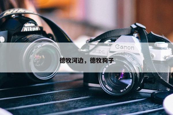 德牧河边，德牧狗子