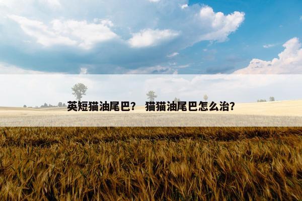 英短猫油尾巴？ 猫猫油尾巴怎么治？