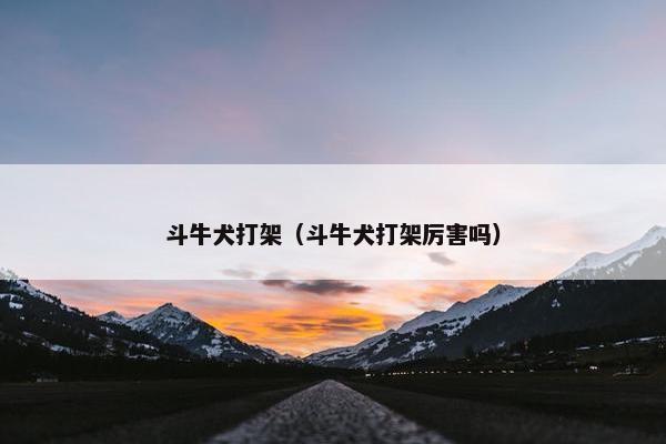 斗牛犬打架（斗牛犬打架厉害吗）