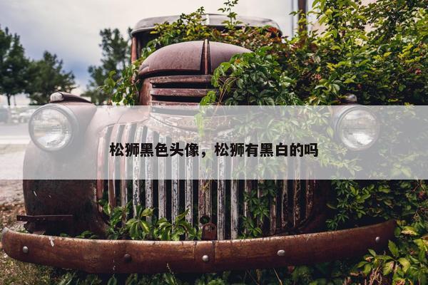 松狮黑色头像，松狮有黑白的吗