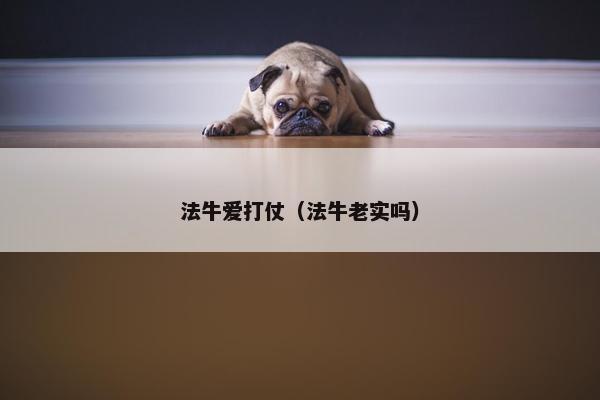 法牛爱打仗（法牛老实吗）