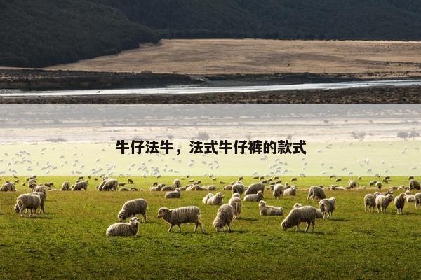 牛仔法牛，法式牛仔裤的款式