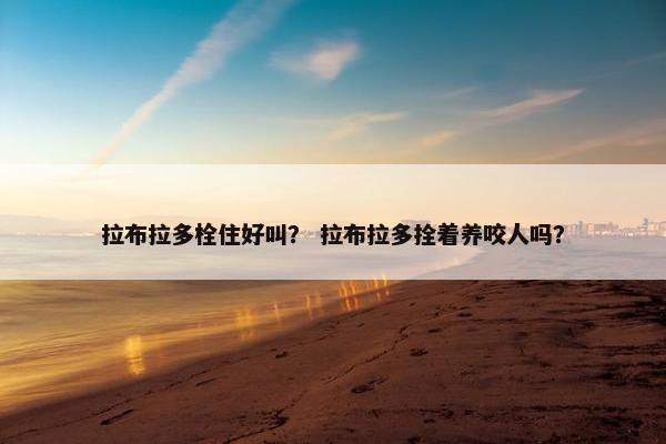 拉布拉多栓住好叫？ 拉布拉多拴着养咬人吗？