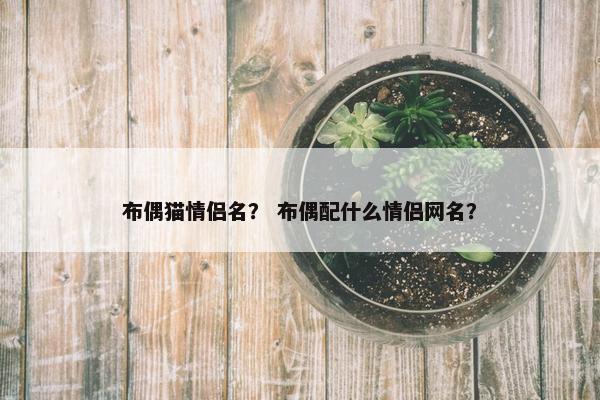布偶猫情侣名？ 布偶配什么情侣网名？