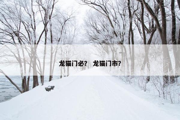 龙猫门必？ 龙猫门市？