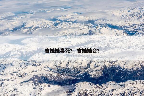 吉娃娃毒死？ 吉娃娃会？