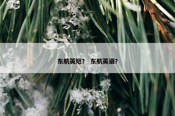 东航英短？ 东航英语？