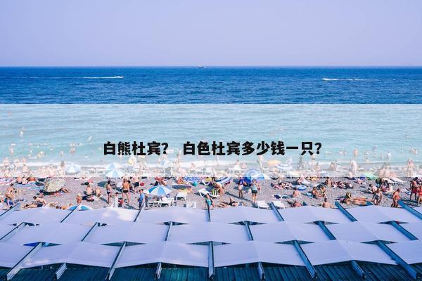 白熊杜宾？ 白色杜宾多少钱一只？