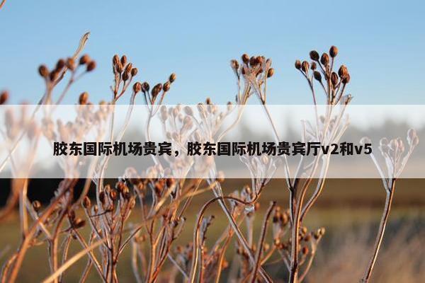 胶东国际机场贵宾，胶东国际机场贵宾厅v2和v5