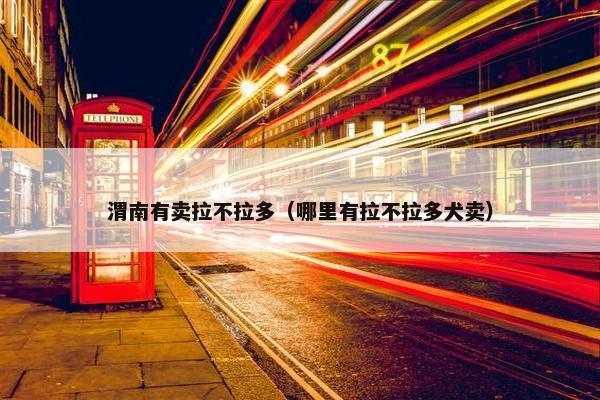 渭南有卖拉不拉多（哪里有拉不拉多犬卖）