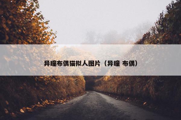 异瞳布偶猫拟人图片（异瞳 布偶）