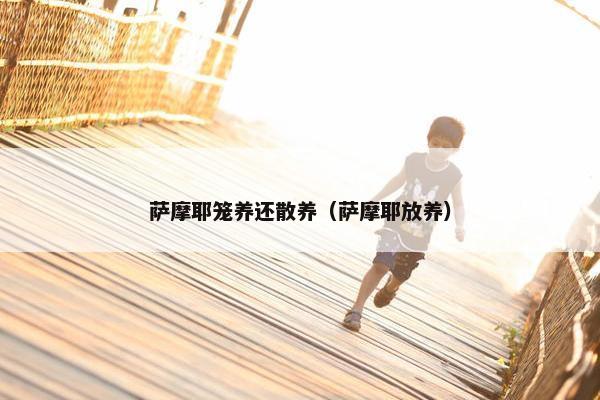 萨摩耶笼养还散养（萨摩耶放养）