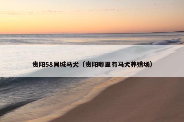 贵阳58同城马犬（贵阳哪里有马犬养殖场）