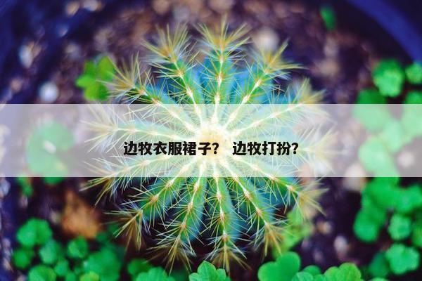 边牧衣服裙子？ 边牧打扮？