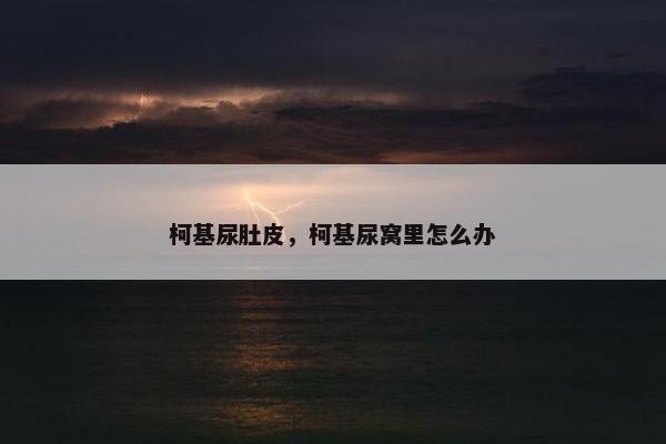 柯基尿肚皮，柯基尿窝里怎么办