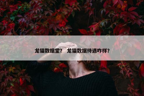 龙猫数据堂？ 龙猫数据待遇咋样？