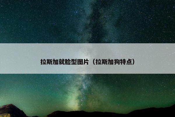 拉斯加就脸型图片（拉斯加狗特点）