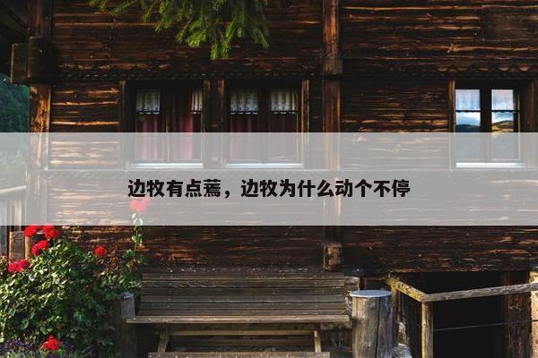 边牧有点蔫，边牧为什么动个不停