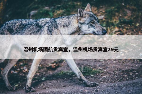 温州机场国航贵宾室，温州机场贵宾室29元