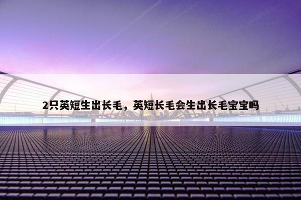 2只英短生出长毛，英短长毛会生出长毛宝宝吗