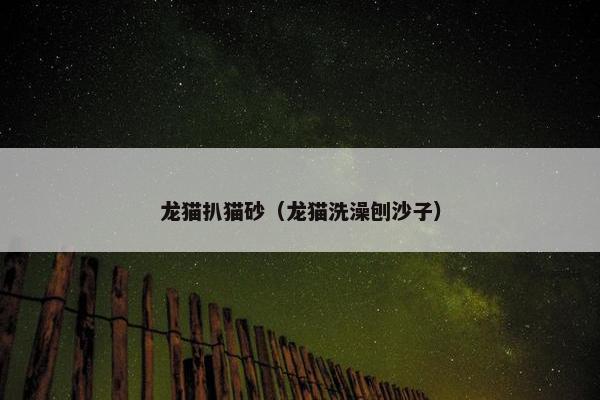 龙猫扒猫砂（龙猫洗澡刨沙子）