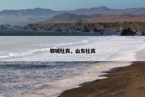 郓城杜宾，山东杜宾