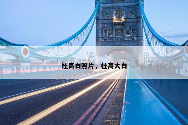 杜高白照片，杜高大白