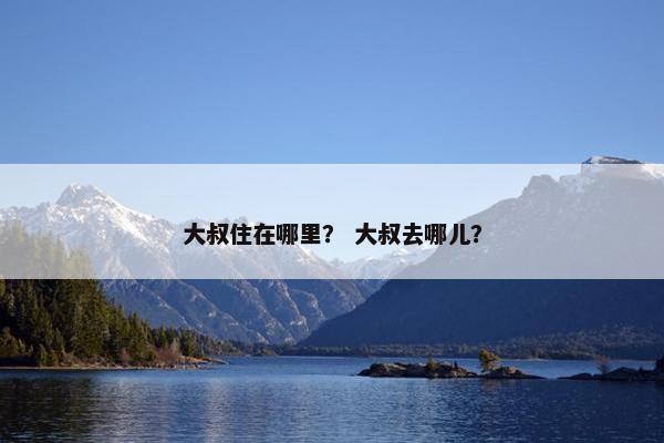 大叔住在哪里？ 大叔去哪儿？