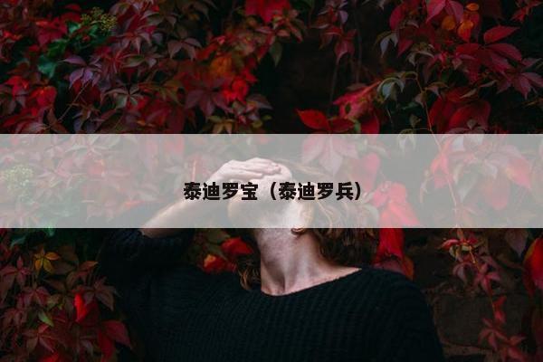 泰迪罗宝（泰迪罗兵）