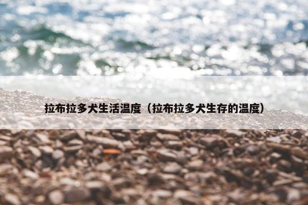 拉布拉多犬生活温度（拉布拉多犬生存的温度）