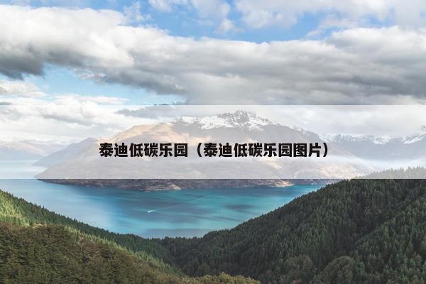 泰迪低碳乐园（泰迪低碳乐园图片）