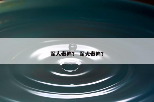 军人泰迪？ 军犬泰迪？