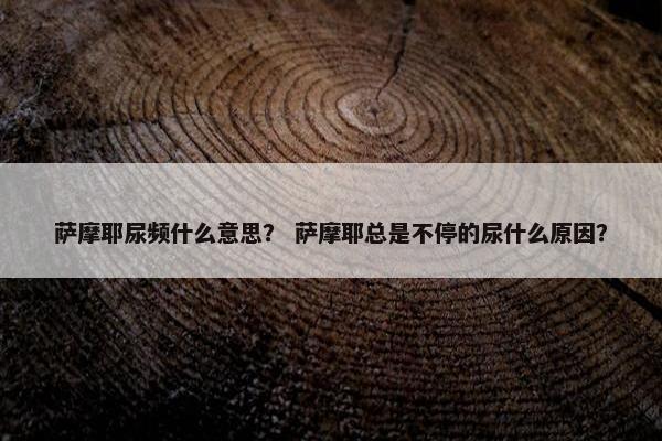 萨摩耶尿频什么意思？ 萨摩耶总是不停的尿什么原因？